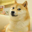 Doge