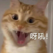 放过我我没有支付宝