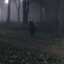 Avatar of player winteriscmng