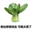 秃秃