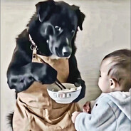 偶像练习生马保国