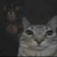 ꧁༒Cat With Freddy༒꧂