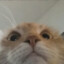 Lucas