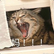 天朝八百万基佬