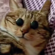 叙利亚在逃悍妇