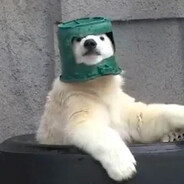 Ber