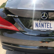 Nantel - steam id 76561197963652834