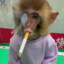 Monkey Mon
