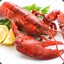 lobsters?
