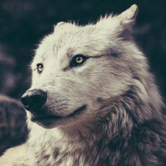 ~*inhWolf~
