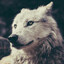 ~*inhWolf~