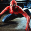 SPIDER DN