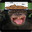 Stinky monkey poo poo brain