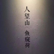 今晚打老虎Allen