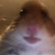 HAMSTERİNYO⚯ ͛