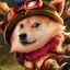 ProtestTheTeemo