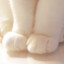 ♥ Gazelle ♥