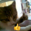 fubbe