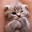 KSPR
