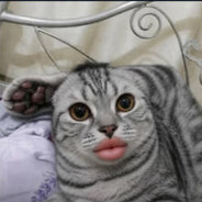 _igorok_