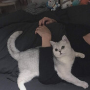 她脚趾都是阿尔卑斯