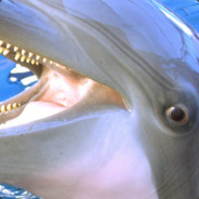 ПОЛЕЖАЙКИН