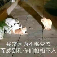 杜王町炸弹猫