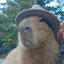 capybun
