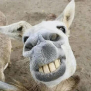 默罕默德·王富贵