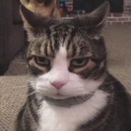 想尝尝我的子弹吗geigei