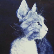 珠海小熊猫
