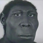 二爷无敌向前冲