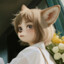 Avatar of player maia