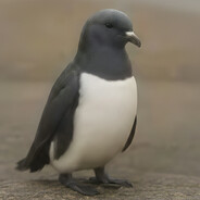 pingwin - steam id 76561199099181520