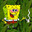 THE TOKER