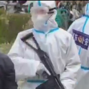 oβす　メす　メす