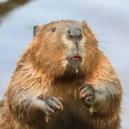 nicht tuff - steam id 76561199566533486