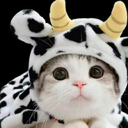 Ms Milkies
