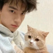 笨蛋总是掉眼泪