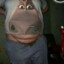 goida_EHKERE