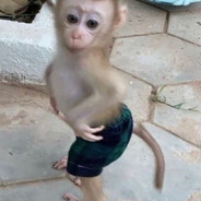 sss