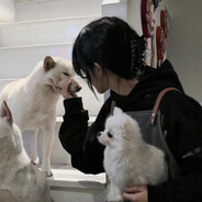我是真服了