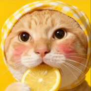 哼(￢︿̫̿￢☆)