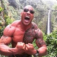 The Rock