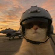 无敌牛油果大王