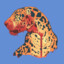 Blue_Jaguar