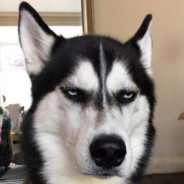 记得多操心爱的人