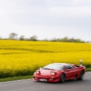 爱生活，更爱挺自已