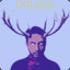 Druida