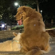 中二少年城